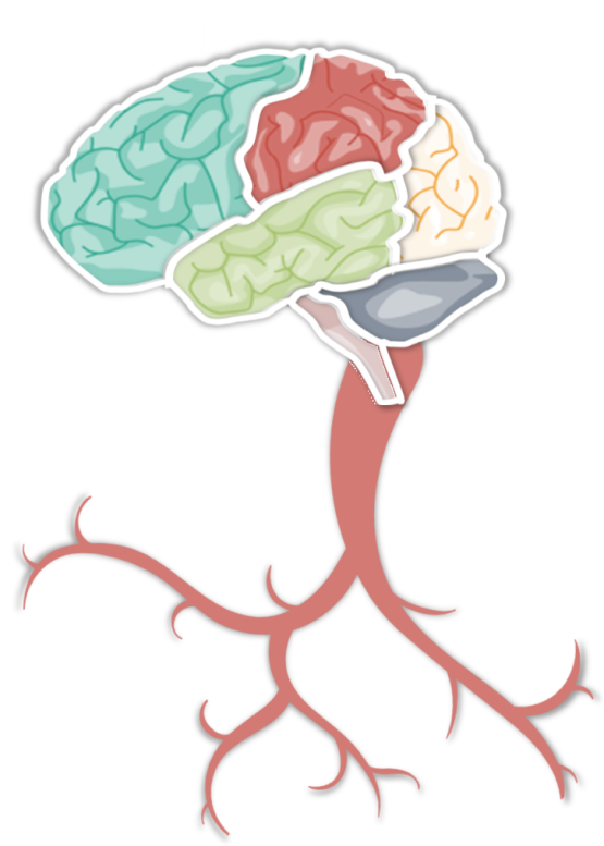 What Is Neurology? Pediatric Neurology Clinic
